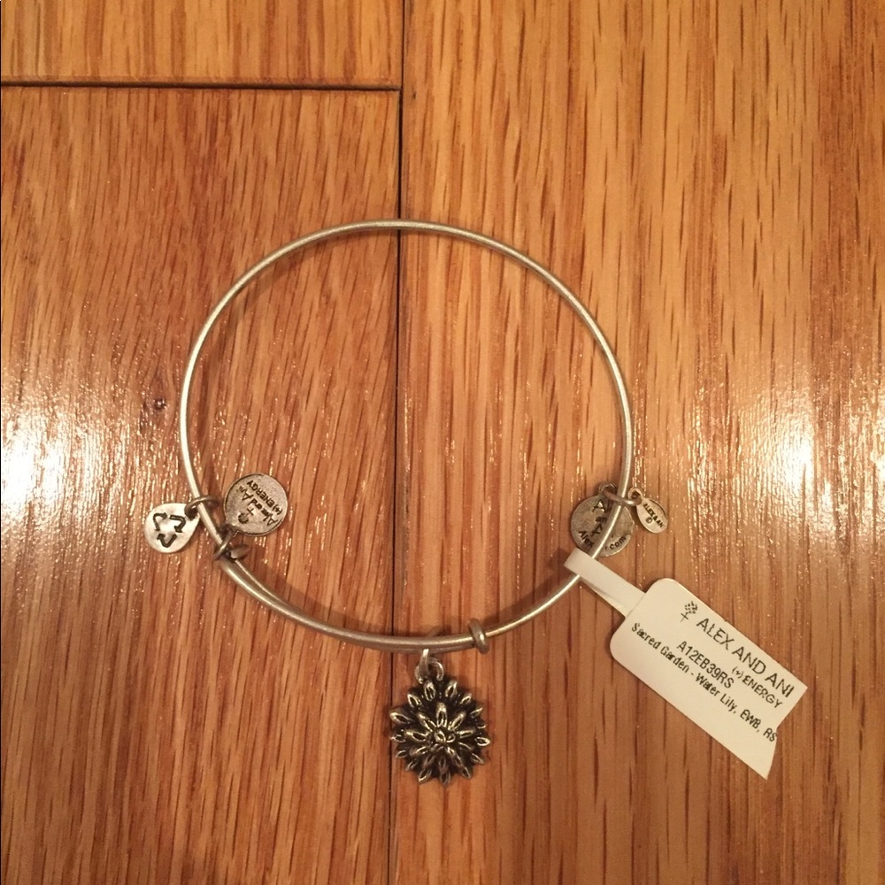 alex and ani bracelet